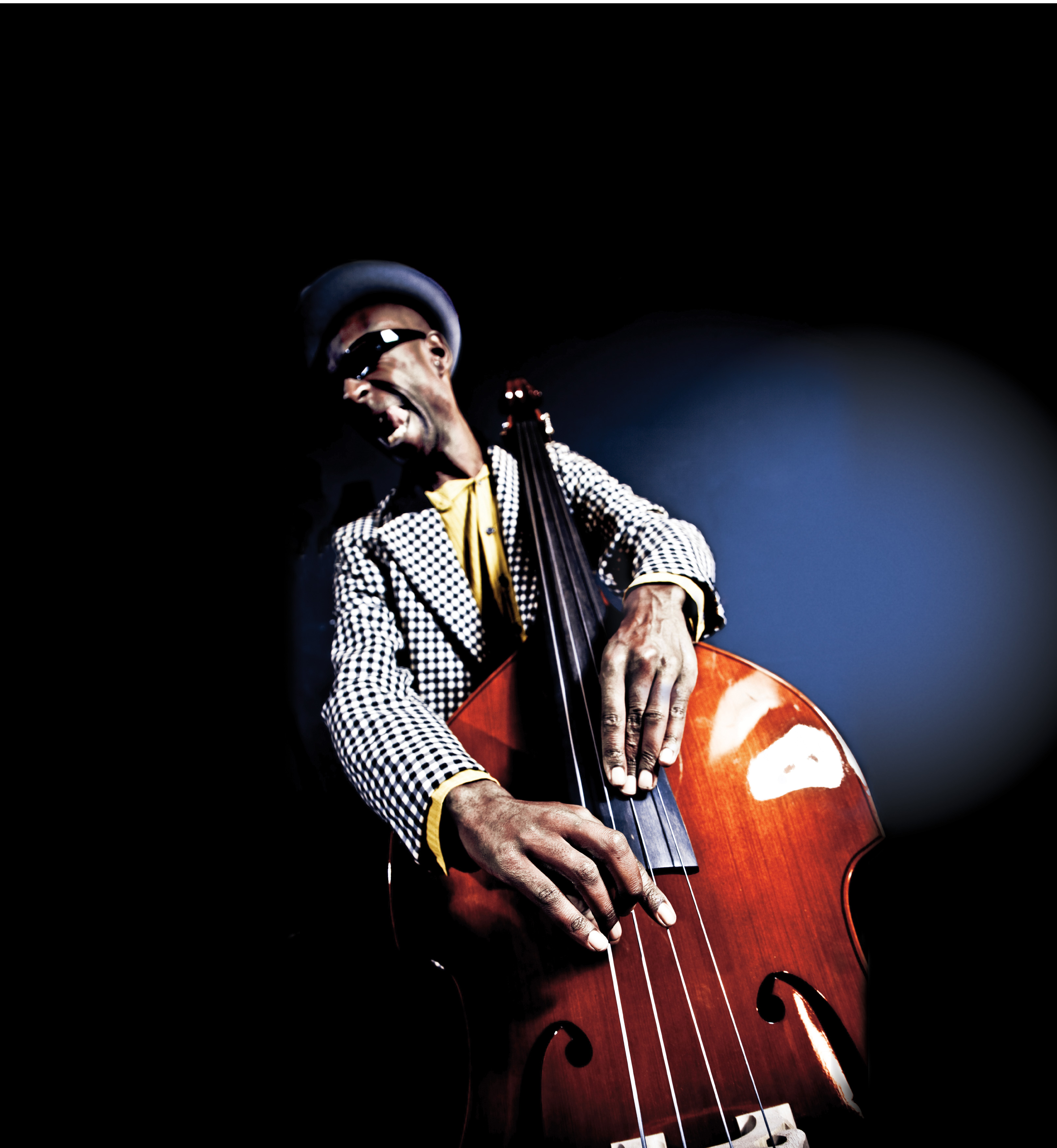 digital-product-contrabass-man